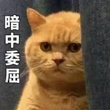 fajar pakong hongkong togel plus Qin Dewei berkata dengan kosong: Mengapa kamu mengatakan tidak?